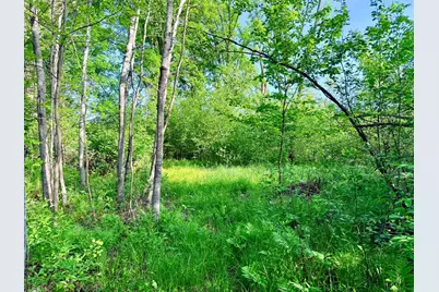 Tbd Highway 65, Isle, MN 56342 - Photo 9
