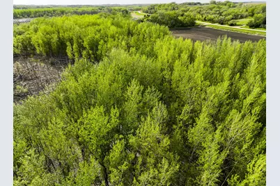 Tbd County Road 15, Montevideo, MN 56265 - Photo 11