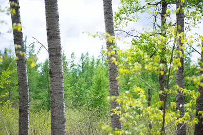 Tbd-20Ac Velvet Street, Sandstone, MN 55072 - Photo 67