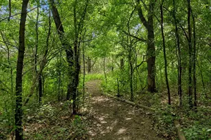 16881 Zirconium St NW, Ramsey, MN 55303 - Photo 33