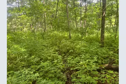 0 County Rd Jj, Arcadia, WI 54612 - Photo 11