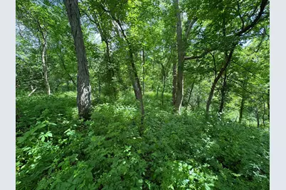 0 County Rd Jj, Arcadia, WI 54612 - Photo 5