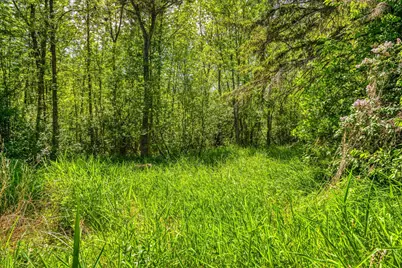 11517 Woodland Avenue, Mizpah, MN 56660 - Photo 49