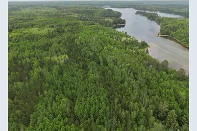Tbd 290th Street, Park Rapids, MN 56470 - Photo 11