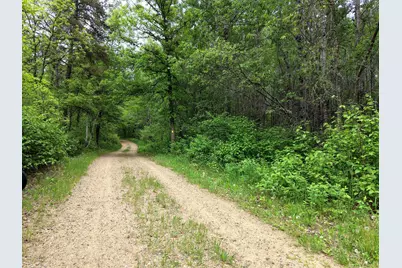 Tbd 290th Street, Park Rapids, MN 56470 - Photo 31