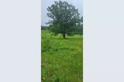 11116 N Blackberry Road, Trego, WI 54888 - Photo 19