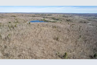 Tbd Mountain Home Tr, Little Marais, MN 55614 - Photo 3