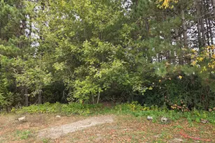 10095 367th St, North Branch, MN 55056 - Photo 3
