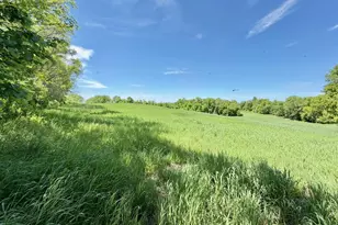 44662 Co Hwy 31, Pelican Rapids, MN 56572 - Photo 113