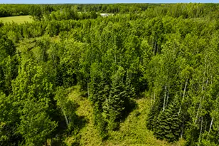 45624 Co Rd 172, Deer River, MN 56636 - Photo 7