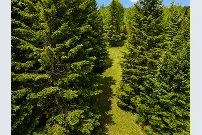 45624 County Road 172, Deer River, MN 56636 - Photo 9