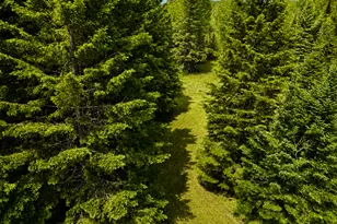 45624 Co Rd 172, Deer River, MN 56636 - Photo 9