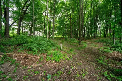 E5251 Basswood Road, Eau Claire, WI 54701 - Photo 53