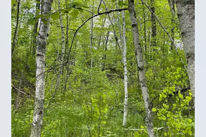 Lot 8 Hustvet, Minong, WI 54888 - Photo 9