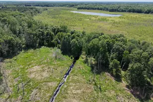 13384 Sorenson Lake Rd, Merrifield, MN 56465 - Photo 55