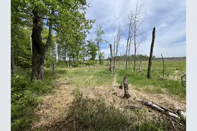 13384 Sorenson Lake Road, Merrifield, MN 56465 - Photo 35