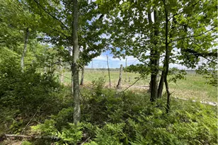 13384 Sorenson Lake Rd, Merrifield, MN 56465 - Photo 33