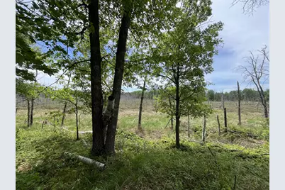 13384 Sorenson Lake Road, Merrifield, MN 56465 - Photo 41