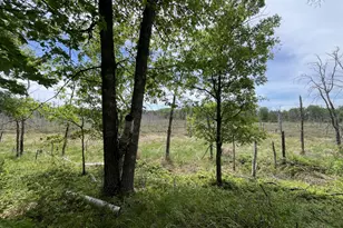 13384 Sorenson Lake Rd, Merrifield, MN 56465 - Photo 41