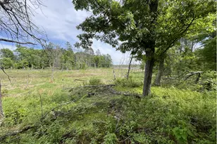 13384 Sorenson Lake Rd, Merrifield, MN 56465 - Photo 43