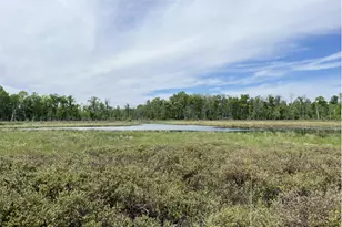 13384 Sorenson Lake Rd, Merrifield, MN 56465 - Photo 45