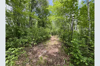13384 Sorenson Lake Road, Merrifield, MN 56465 - Photo 31