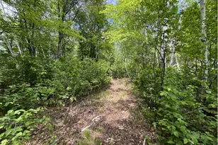 13384 Sorenson Lake Rd, Merrifield, MN 56465 - Photo 31