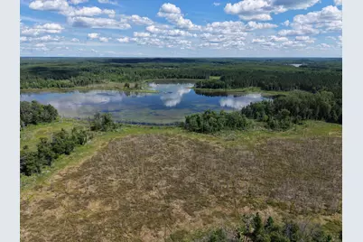 13384 Sorenson Lake Road, Merrifield, MN 56465 - Photo 49