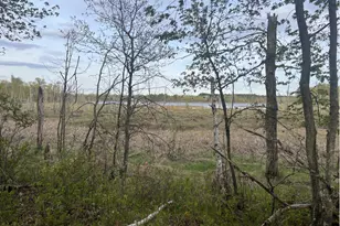 13384 Sorenson Lake Rd, Merrifield, MN 56465 - Photo 29