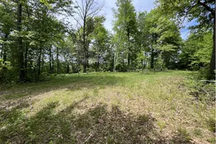 13384 Sorenson Lake Rd, Merrifield, MN 56465 - Photo 3