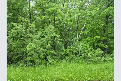 Tbd Willow Dr, Garrison, MN 56450 - Photo 3
