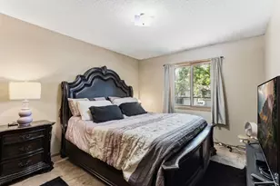 8709 Maplebrook Pkwy N, Brooklyn Park, MN 55445 - Photo 9