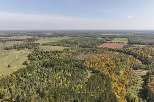 Lot D 67Ac N Blackduck Lake Rd, Hines, MN 56647 - Photo 1