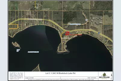 Lot C 1.3Ac N Blackduck Lake Road NE, Hines, MN 56647 - Photo 3