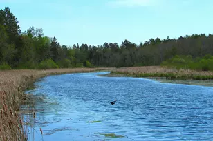 26301 US-71, Park Rapids, MN 56470 - Photo 15
