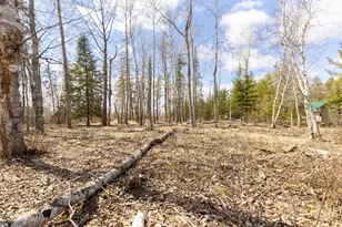 28502 County 37, Laporte, MN 56461 - Photo 39