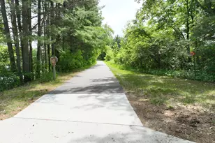 309 Tianna Dr, Walker, MN 56484 - Photo 59