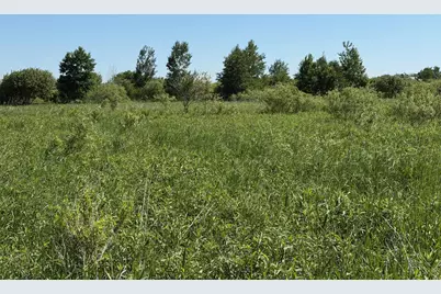 16698 130th Street, Foreston, MN 56330 - Photo 13