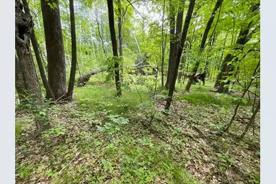 25945 Pine View Beach Trail, Brook Park, MN 55007 - Photo 5