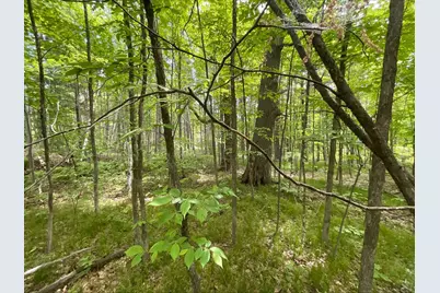 25945 Pine View Beach Trail, Brook Park, MN 55007 - Photo 15