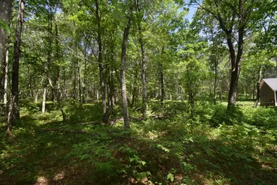 29093 Deerpath Pass, Danbury, WI 54830 - Photo 49
