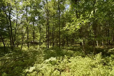 29093 Deerpath Pass, Danbury, WI 54830 - Photo 75