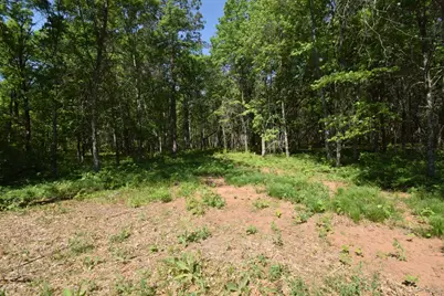 29093 Deerpath Pass, Danbury, WI 54830 - Photo 59