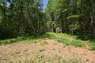 29093 Deerpath Pass, Danbury, WI 54830 - Photo 59