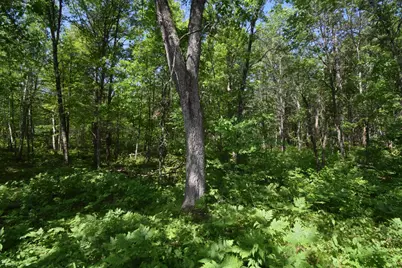 29093 Deerpath Pass, Danbury, WI 54830 - Photo 47