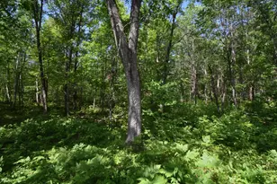 29093 Deerpath Pass, Danbury, WI 54830 - Photo 47