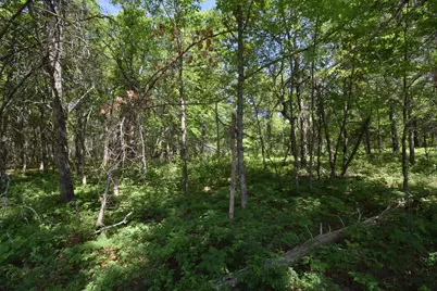 29093 Deerpath Pass, Danbury, WI 54830 - Photo 61