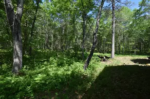 29093 Deerpath Pass, Danbury, WI 54830 - Photo 45