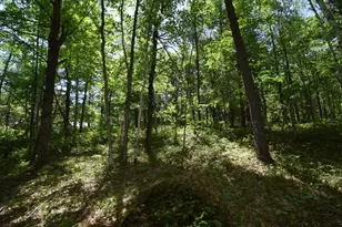 29093 Deerpath Pass, Danbury, WI 54830 - Photo 51