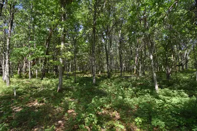 29093 Deerpath Pass, Danbury, WI 54830 - Photo 63
